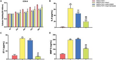 AT1R Regulates Macrophage Polarization Through YAP and Regulates Aortic Dissection Incidence